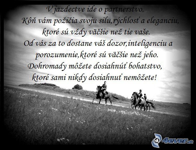 konáčky.jpg