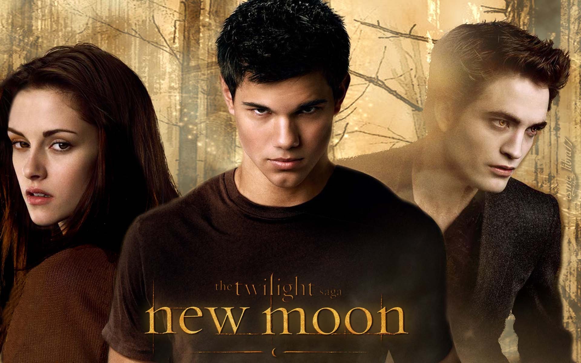 The Twilight Saga - New Moon.jpg